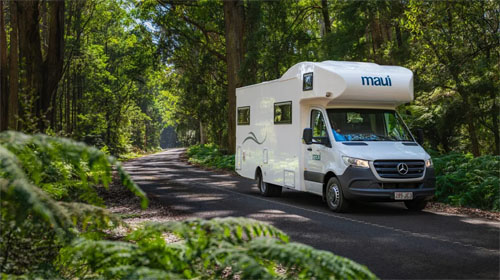 Platinum River - Elite